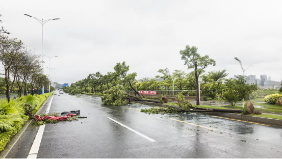 1605594638906887.png image.png