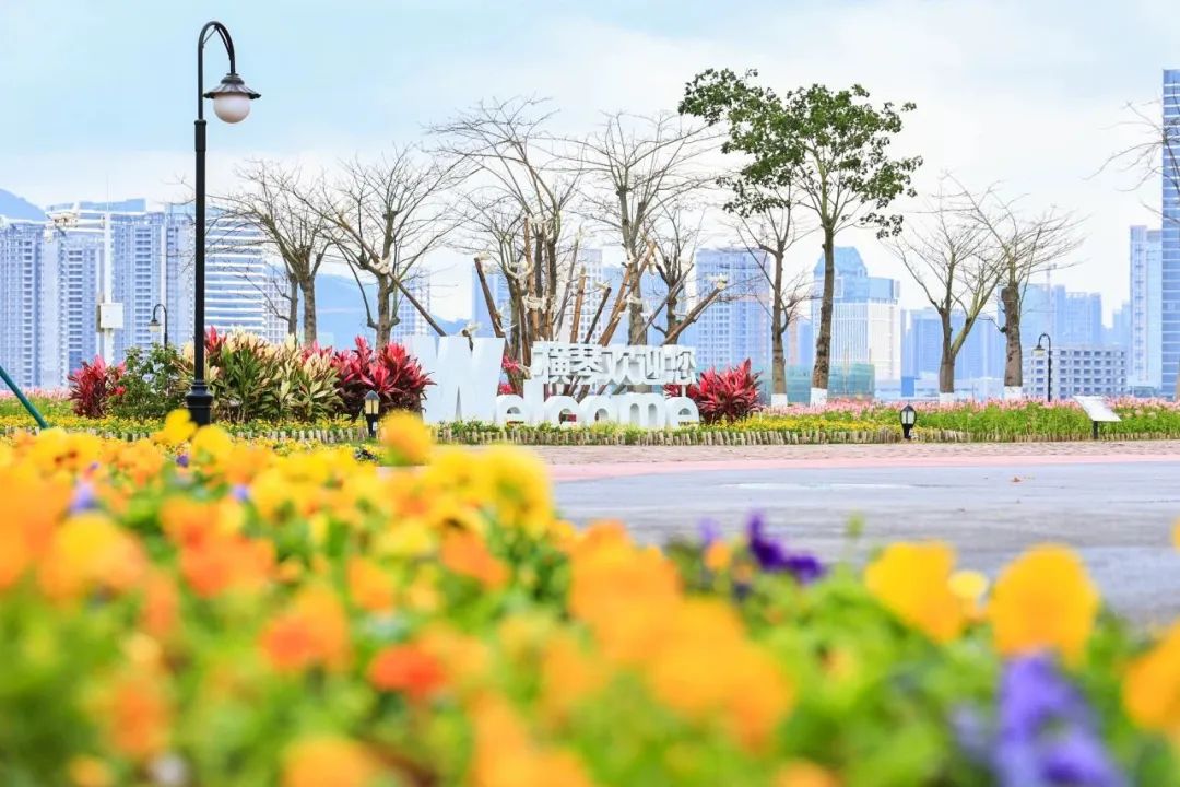 1695916977820804.jpg 4.jpg