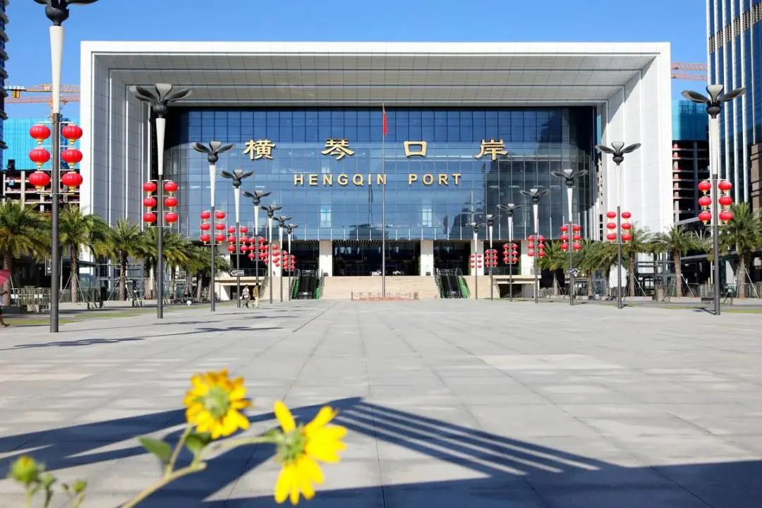 1702349312569644.jpg 3.jpg