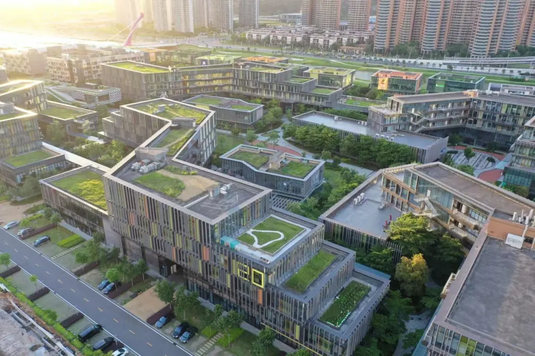 1712046315154519.jpg 6.jpg