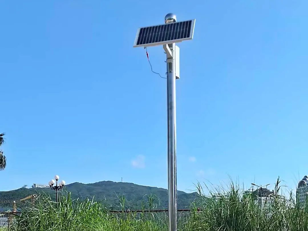 1757575621845903.jpg 15.jpg